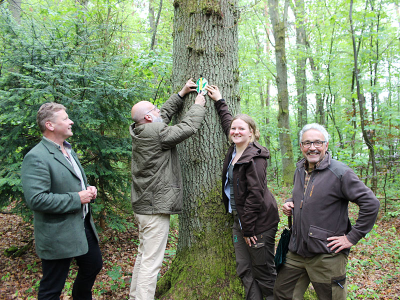 Plakette Baum