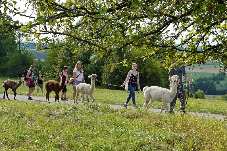 Ferienangebote und Freizeiten