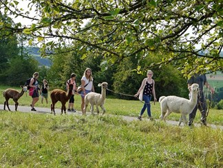 Ferien- und Freizeitangebote